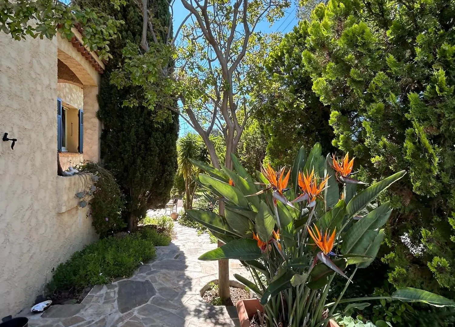 Shared House Les Louves Apartment Saint-Raphael  Homestay